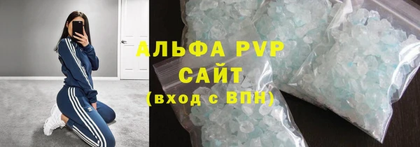 СК Гусев