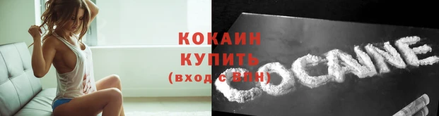 СК Гусев