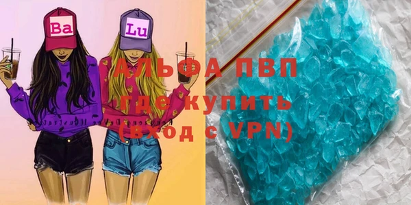 СК Гусев