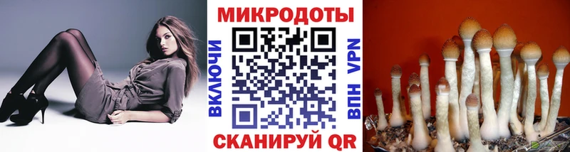 Псилоцибиновые грибы MAGIC MUSHROOMS  Купить закладки  Кизел 